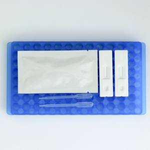 Gland ers Antikörper Schnelltestst reifen | Burk holderia mallei Detection | 50 Tests/Kit - Product Image 5