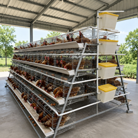 Cage à poules pondeuses 96/120/128/160 places, 3/4 niveaux, pour l'élevage de volailles, capacité 500 poulets, cage à batterie pour poules pondeuses