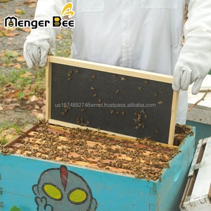 New Menger Bee <b>Plastic</b> Honeycomb Beeswax Foundation <b>Sheets</b> 5.4mm Cell Size Deep/Medium/Shallow Waxed <b>Black</b> Beehive Frame - Product Image 1