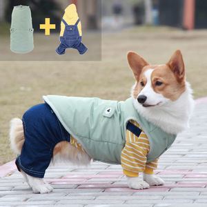 Chaleco de algodón para perros, color verde, impermeable, con forro polar, para Corgi, Teddy, Bulldog Francés, ropa para mascotas - Product Image 3