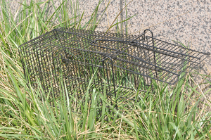 Trappola per topi in metallo per animali vivi trappola per topi trappola per topi in poltiglia nera - Product Image 6