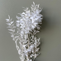 Gedroogde Echte Witte Decoratie Bloemen Eucalyptus Italiaanse Ruscus Stengels Geconserveerd Gebleekte Eucalyptus Kleine Bladeren Yf02