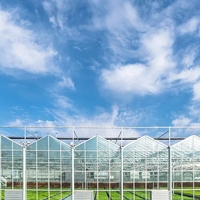 Serre intelligente en verre avec système de contrôle climatique pour la culture hydroponique de légumes et la production commerciale