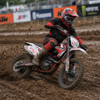 Moto tout-terrain 4 temps KT2 PR300 300cc, moto de course, fourche de 230 mm de course, garde au sol de 310 mm