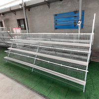 Cage à poules pondeuses de type A personnalisée OEM en acier galvanisé à chaud avec système de nettoyage automatique du fumier