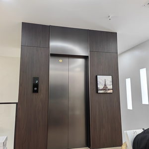 Ascenseur domestique à portique extérieur, étanche, avec structure en acier inoxydable, mini-ascenseur pour villa, hauteur personnalisable - Product Image 2