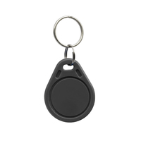 En stock 13,56 MHz F08 Porte-clés RFID NFC Contrôle d'accès Porte-clés RFID Livraison rapide