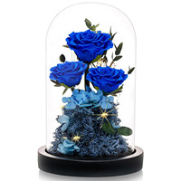 LED préservée pour toujours Rose Glass Galaxy Dome Home Decor Base en bois pour Noël Graduation Saint Valentin Toute occasion spéciale