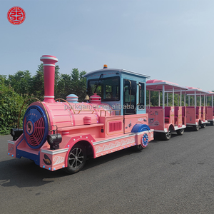 Trenino Turistico Elettrico Senza Binari con Motore Diesel per Parchi Divertimento e Gite Turistiche a Prezzo di Fabbrica - Product Image 2