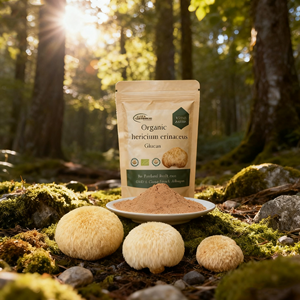 ผงสกัดแผงคอสิงโตเกรด<span class=keywords><strong>อาหาร</strong></span> Hericium erinaceus สารสกัดจากไมซีเลียมสำหรับภูมิคุ้มกันผู้พิทักษ์10% โพลีแซคคาไรด์ - Product Image 1