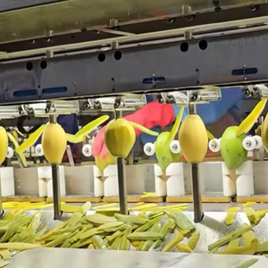 Mango de secado suave, venta al por mayor, precio bajo, suministro de fábrica de Vietnam para pedidos de exportación a granel - Product Image 1