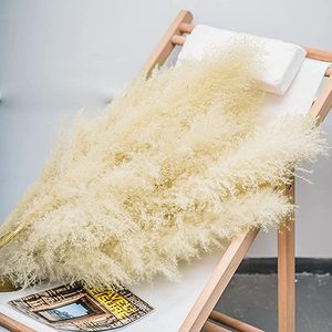 Hierba de Pampas Seca Natural, <span class=keywords><strong>Cortaderia</strong></span> Selloana Grande y Esponjosa, para Decoración de Bodas, San Valentín, Navidad y Hogar - Product Image 3