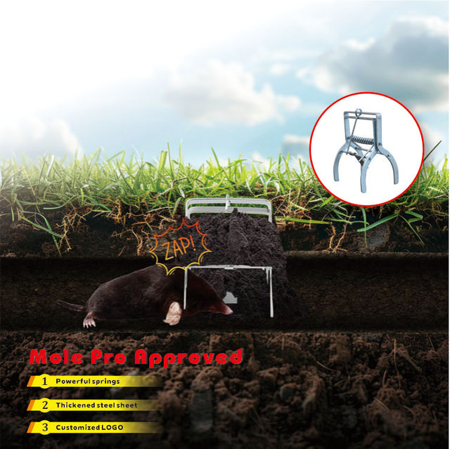 Talpex Solid Heavy Duty Eco-Friendly Rectangular Mole Trap with Steel Construction for Humane Mole Control