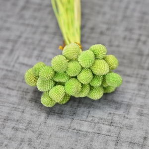 All'ingrosso all'ingrosso decorativo naturale essiccato Craspedia Globosa Billy palla piante conserve fiori - Product Image 2