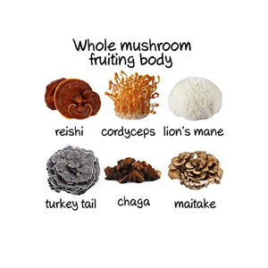 6 em 1 poderoso cogumelo Extrato em pó <span class=keywords><strong>30</strong></span>% Beta Glucan - Lions Mane, Reishi, <span class=keywords><strong>Cordyceps</strong></span>, Chaga, Turquia cauda, Maitake - Product Image 3