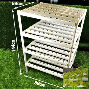 Stimulants de croissance des plantes hydroponiques Culture hydroponique