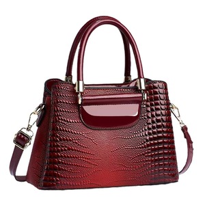 Sac à main pour femme An Ru Shi, motif crocodile, taille moyenne, noir, sac bandoulière, printemps 2024, style platine - Product Image 2