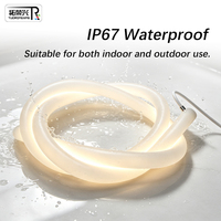 Ruban LED néon RGB DMX512 adressable par SPI, étanche IP67, en silicone, pour éclairage extérieur de façade de bâtiment