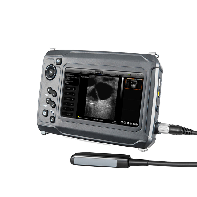 Pet Portable Veterinary Ultrasound Machine Diagnosis Touch Ultrasound System for Large Animal Scanning