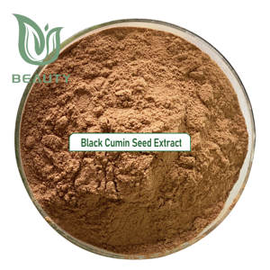 100% puro nero estratto di semi di cumino in polvere alla rinfusa integratore a base di erbe supporto immunitario naturale Halal cibo certificato cosmetici <span class=keywords><strong>Pharma</strong></span> - Product Image 2