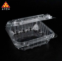 Contenants alimentaires rectangulaires en PET personnalisés en usine, 12 pouces, 10 pouces, assiettes décoratives, plateau de différentes tailles