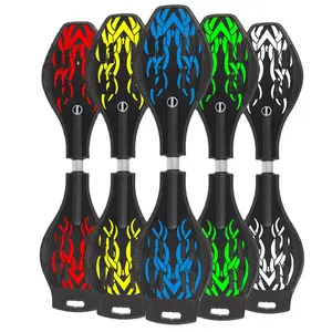 Outdoor Sport Met 2 Wielen Straat Surfen Drifting Skateboard Rip Stick Snake Board Waveboard