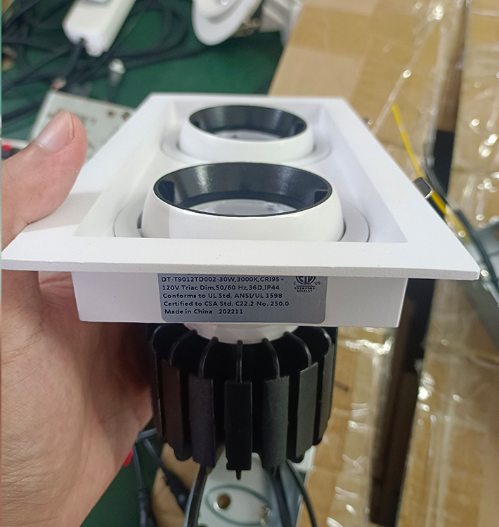 Lighting Solutions - Efficient Double-Headed LED Downlights