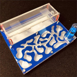 Granja de Hormigas de Gran Tamaño, Cuadrada, 20 x 15 x 1.5 cm, con Área de Forrajeo - Product Image 6