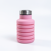 Bouteille d'eau pliable en silicone, gobelet de voyage portable, bouteille de sport réutilisable sans BPA, gobelet pliable avec mousqueton