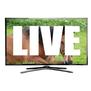 iptv channels list porn, iptv channels list porn Suppliers and ...