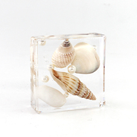Vente en gros de coquillages incrustés naturels + spécimen de résine Grands coquillages en résine Artisanat naturel Cadeaux novateurs et créatifs