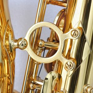 <span class=keywords><strong>Saxophone</strong></span> Alto couleur or pour débutants Prix bas d'usine - Product Image 4