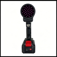 Lampe UV portable pour l'inspection de la peinture automobile, détecteur de lumière ultraviolette, appareil d'inspection UV professionnel