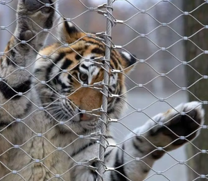 30mm corda 316 in acciaio inox per X Tend maglia a catena intrecciata maglia per il taglio di saldatura piegatura servizi di lavorazione - Product Image 5