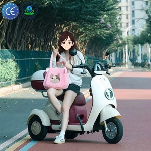 Triciclos Eléctricos Pequeños Populares en Fábricas Chinas, Adecuados para el Transporte de Adultos, Triciclos Eléctricos Antideslizantes - Product Image 1