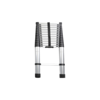 Échelle télescopique en alliage d'aluminium de 4,4 m, pieds en caoutchouc antidérapants, échelle simple pour grenier et usage commercial, capacité de 150 kg