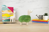 Cultivez Votre Propre Lama Chia Planteur Plante Pot Chia Pets Funny Plant Gift Set Chia Pet Planter Cat