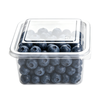 Boîtes en plastique PVC transparentes, écologiques, jetables, recyclables, pour biscuits, fruits, pain, salades, tiramisu, aliments
