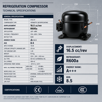 Compresor de Refrigeración de Alta Eficiencia FLD165NAMA FLD165NBMA R600a 0-220V para Refrigerador