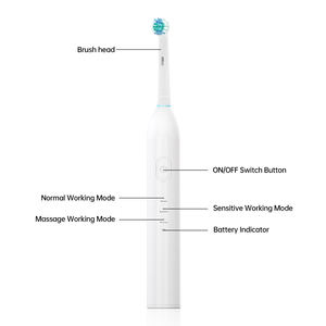 Nuevo Cepillo de Dientes Eléctrico IPX7 Sónico con Cerdas Suaves, Cabezal Redondo Giratorio, Rotación Automática para Adultos, Uso en Pareja, Venta al por Mayor - Product Image 1