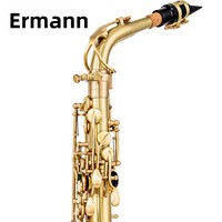 SAX Alto Drop E Saxophone Instrument Brass Brushed Blue Lacquer Beginner Playing Style Y-AS-860