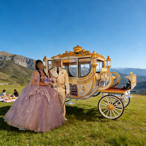 La carreta de caballos eléctrica favorita de los estadounidenses para visitar sitios turísticos al aire libre. - Product Image 1