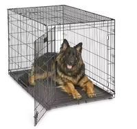 Vente en gros de chenil pliable de 6 pieds en métal pour grands chiens, cage empilable, clôtures, treillis, portails gaufrés