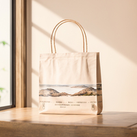 Sac de papier d'emballage d'habillement avec la conception pliable et l'image de marque personnalisée pour des boutiques ou des détaillants de mode