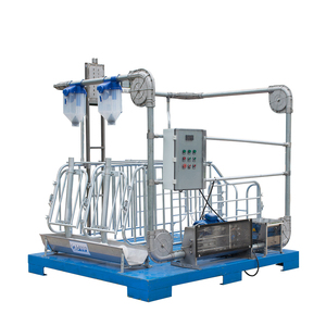 2026 Cabanes de gestation très demandées pour élevages porcins, enclos de gestation pour truies, cages de gestation pour porcs - Product Image 4