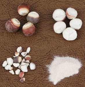 Graines d'Euryale Ferox Séchées Pures en Vrac Entières Pelées de Qualité A Graines d'Euryale Ferox pour la Cuisine Aliments Sains - Product Image 6