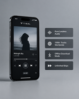 Abonnement Tidal Premium Tidal Music 12 mois, comptes Tidal, abonnement Tidal Hifi Plus 1 an