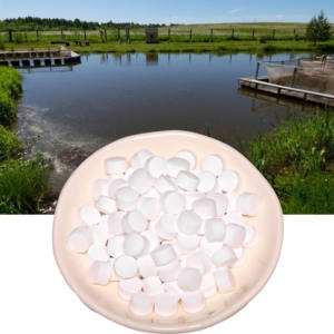 Approvisionnement d'usine Étangs Lacs Fish Tank Aquariums d'eau douce Comprimé d'oxygène dissous pour le <span class=keywords><strong>transport</strong></span> aquatique - Product Image 1