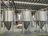 Fermenteur conique en acier inoxydable Cassman 10BBL, cuve sous pression, contrôle semi-automatique, garantie de 2 ans - en stock, vente de bière artisanale