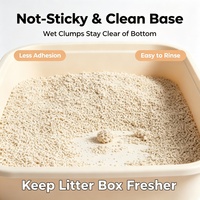 Litière pour chat non-compactante, formule propre, absorption rapide, agglomération dure, désodorisant efficace, pour usage domestique
